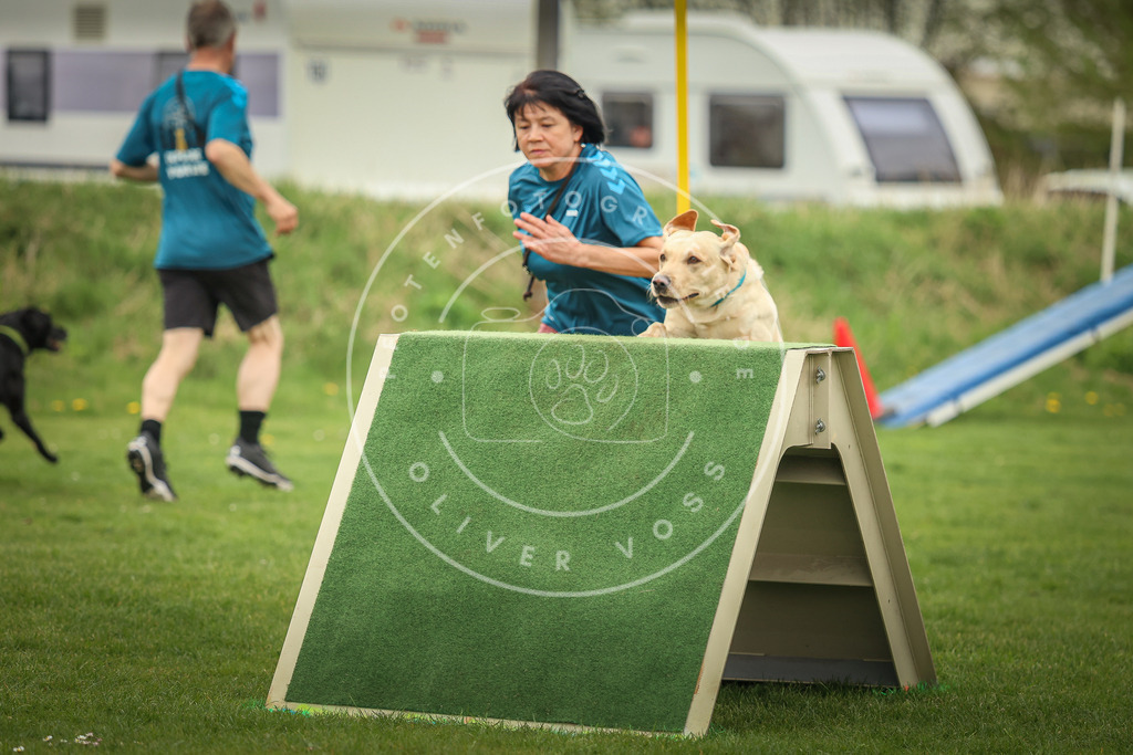 Pfotenfotografie_0L8A0667 | Hundefotografie, Tierfotograf, Pfotenfotografie, Fotoshooting Hund, Hunde Portrait, Hundesport, Hundeportraits, Heideshooting, Hunde, Sportfotograf, Hundefotograf, Turnierhundsport, THS,  - Realisiert mit Pictrs.com