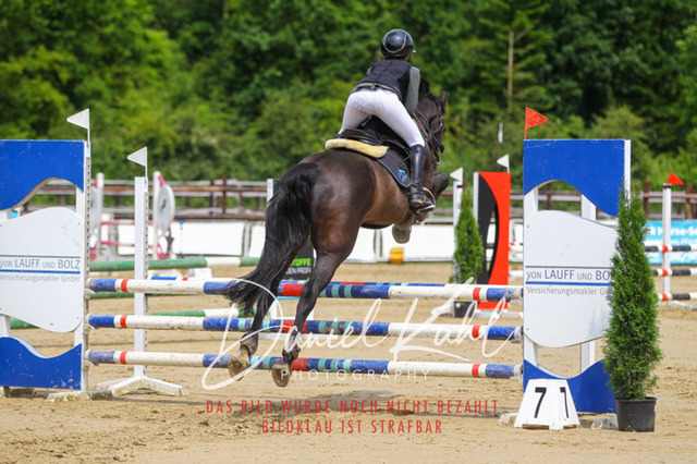 DKP41604 | Turniersportfotografie; Pferdefotografie; Dressurfotografie