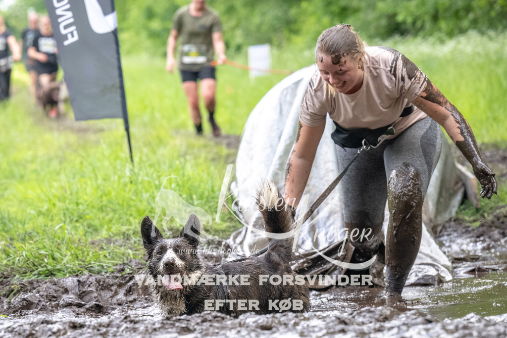 1359_ZZ93379 | kk-dogfotos