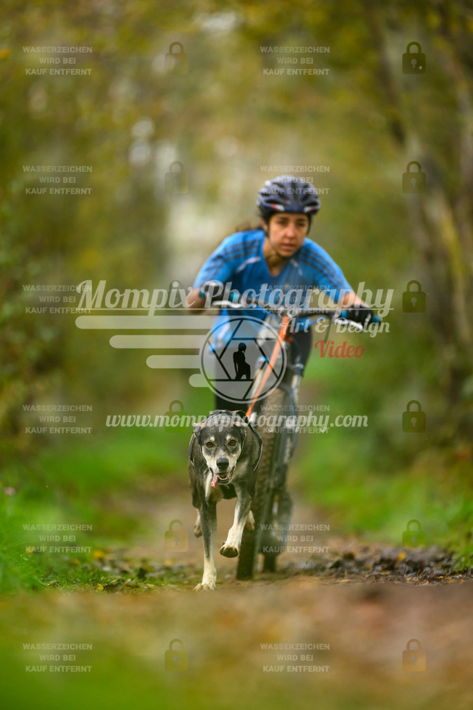 MompixPhotography_20TSB_E6_DS1-50 | PayLife