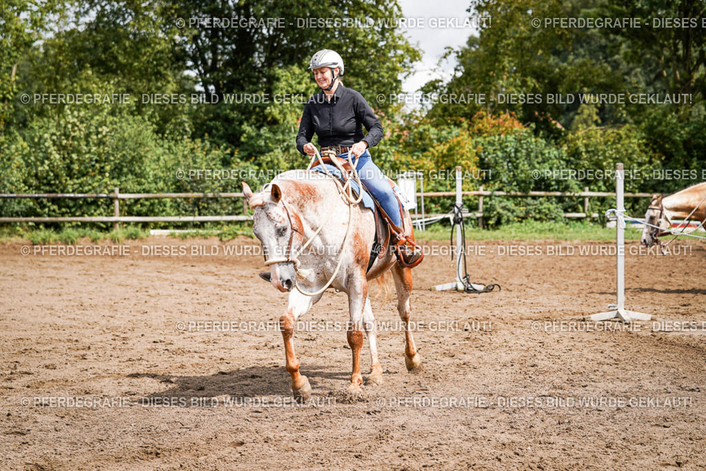 DSC07305 | Pferdegrafie