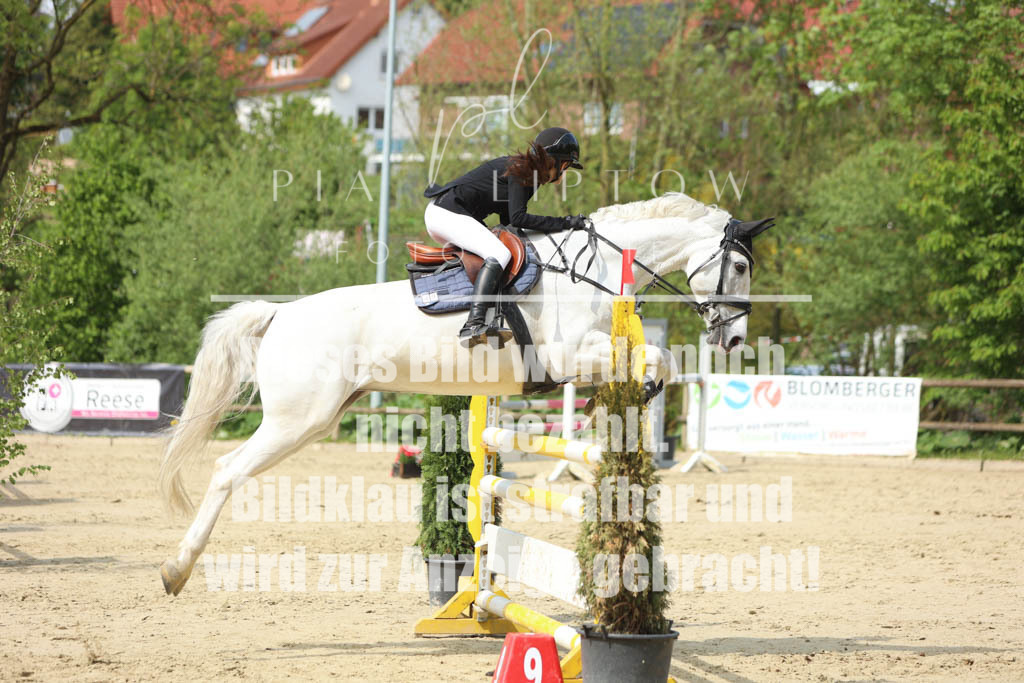 IMGM5892 | pl-fotografie
