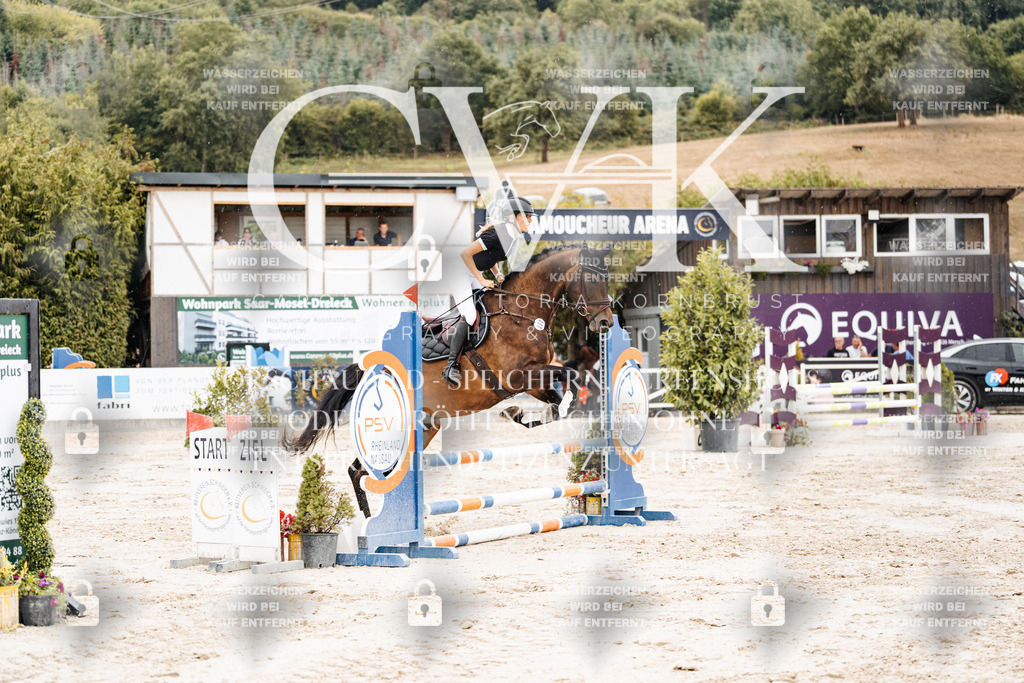 CK908505 | Turnierfotografie Pferdefotografie Trier Rheinland-Pfalz Pferdesport Reitsport Tierfotografie Sportfotografie Pferdevideo Pferdevideografie Equestrianvideography equestrianphotography  - Realisiert mit Pictrs.com