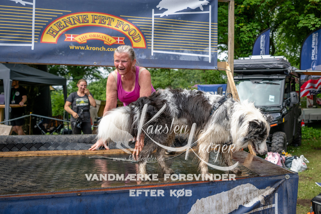 1040_ZZ91659 | kk-dogfotos