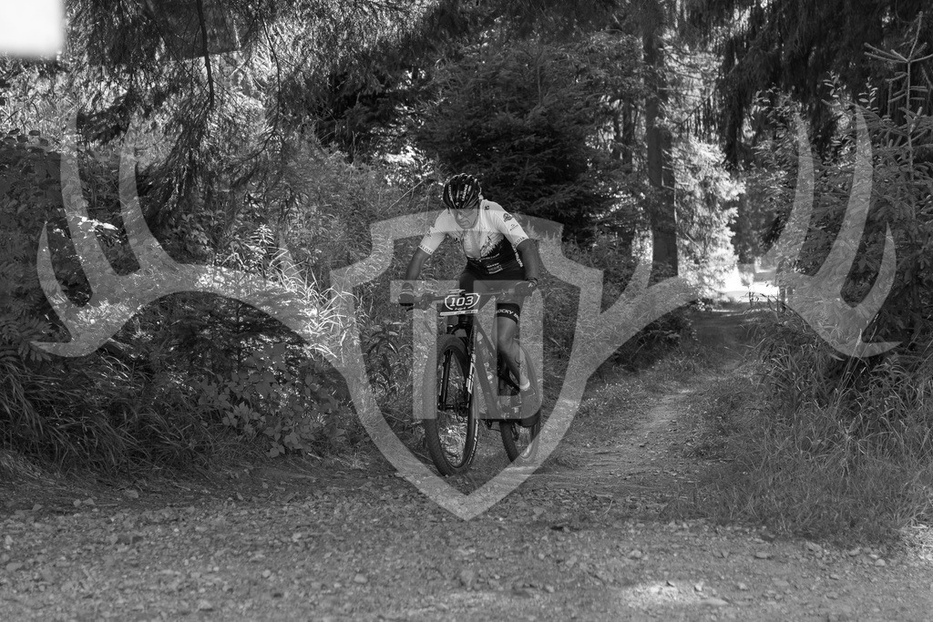 L1010759 | Fotogalerie der Treibjagd im Dunkelwald - Dein MTB Etappenrennen im Erzgebirge - Realisiert mit Pictrs.com