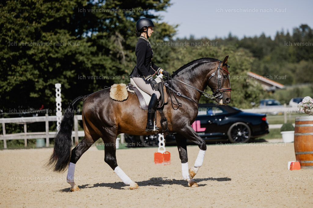 Virginie12FHC2025-27601 | working equitationturnier fotograf videograf stoibphotography marixx film working equitation deutschland reitsport turnierfotografie eventfotografie equestrian events