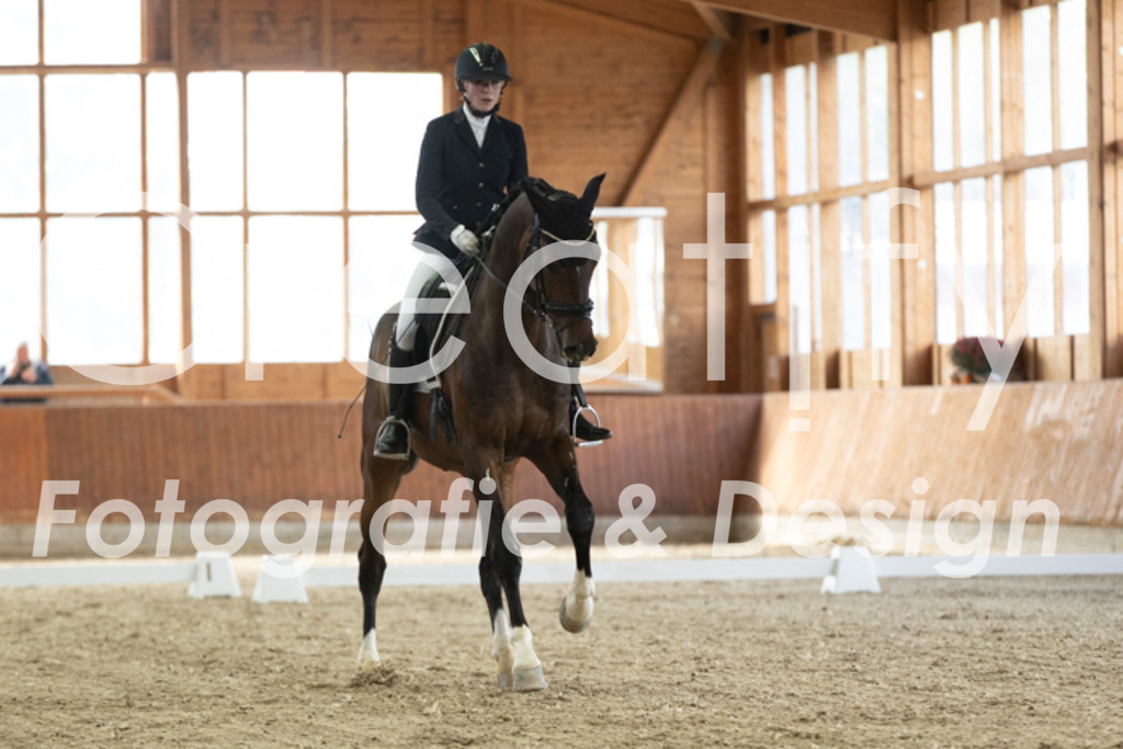 IMG_2526 | Creatify Fotografie