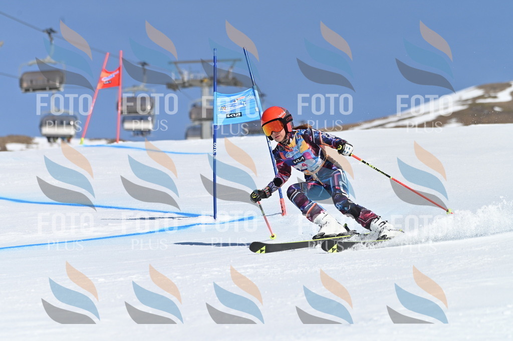 BGV_7638 | holidayphoto