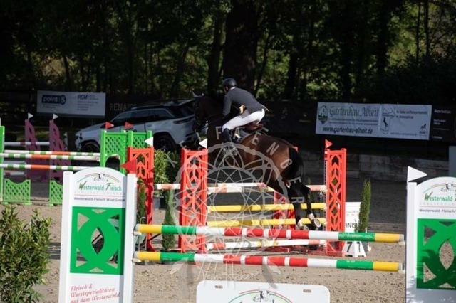 2B4A1056 | pixelfaenger - Realisiert mit Pictrs.com