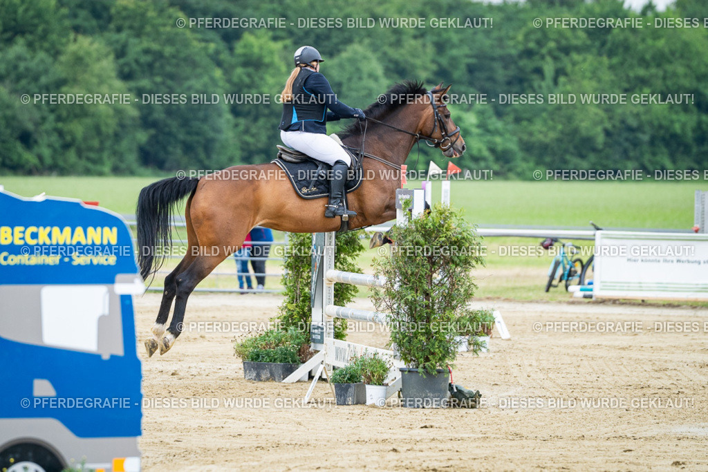 DSC03794 | Pferdegrafie