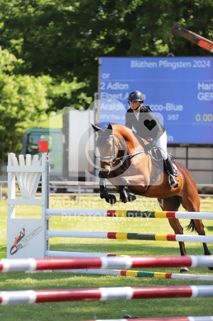 IMG_6066 | Pauline Ullmann Photography - Realisiert mit Pictrs.com