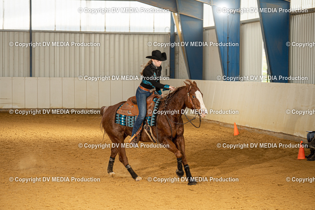 MIT00089 | dv-media-shop - Realisiert mit Pictrs.com