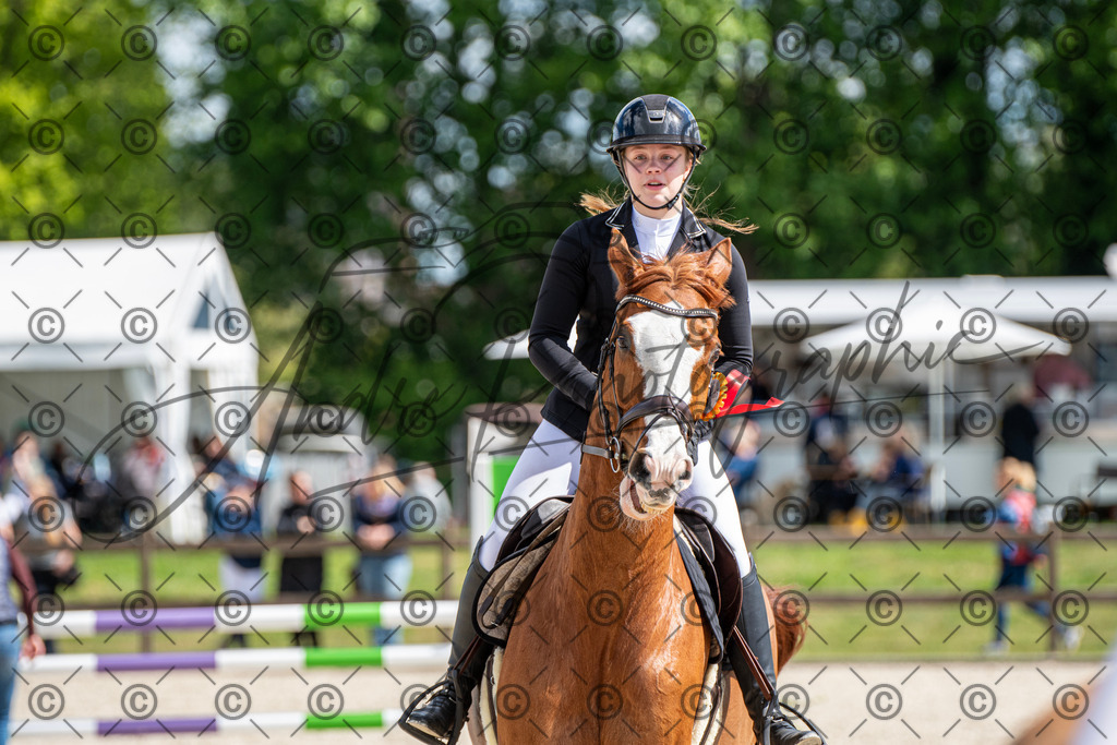 KPT_5151 | andre_photographic