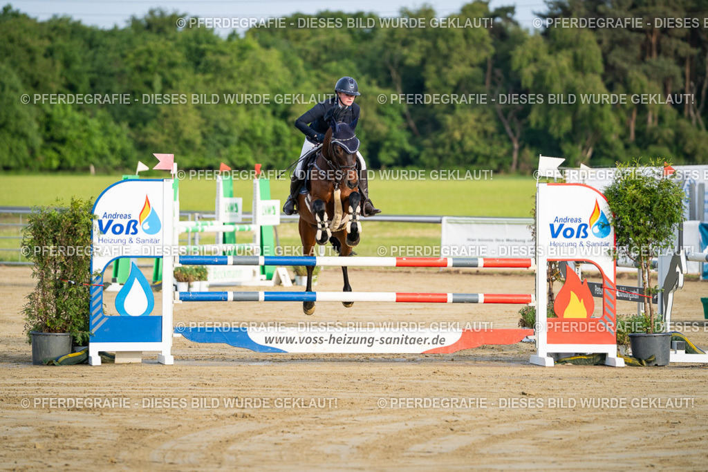 DSC01792 | Pferdegrafie