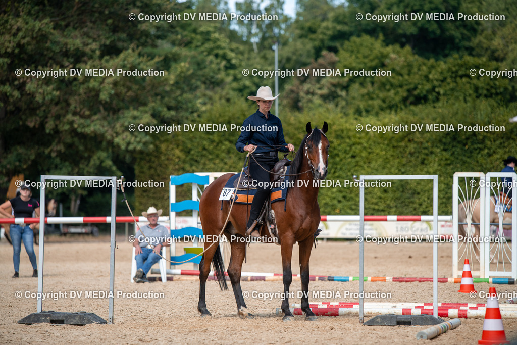 EWP_6872 | dv-media-shop - Realisiert mit Pictrs.com