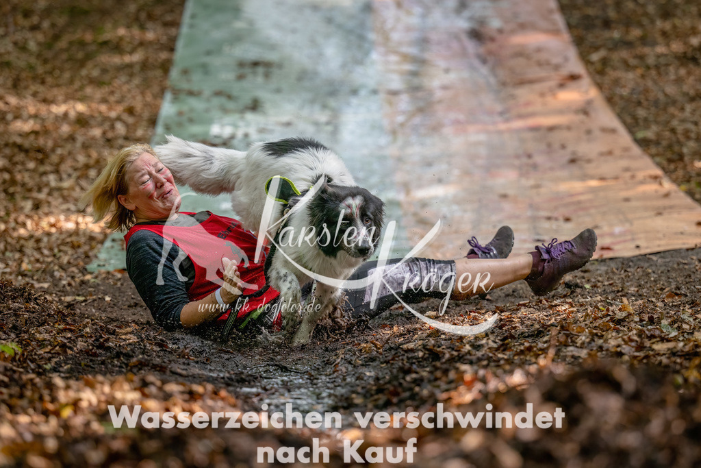 1226_ZZ90117-Bearbeitet | kk-dogfotos