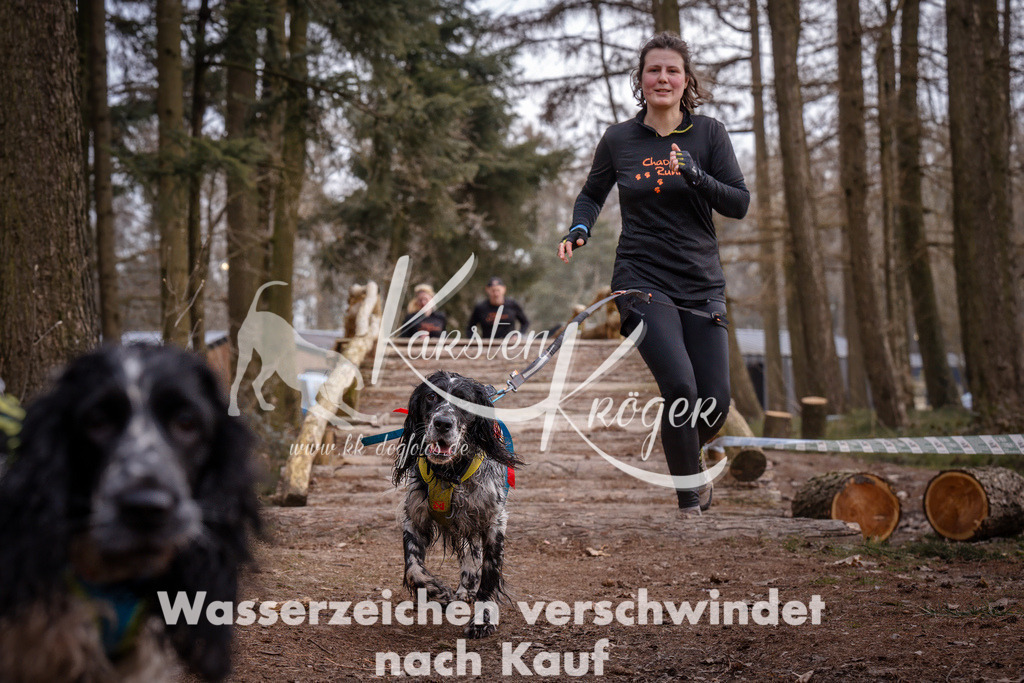 1628_ZZ94556 | kk-dogfotos