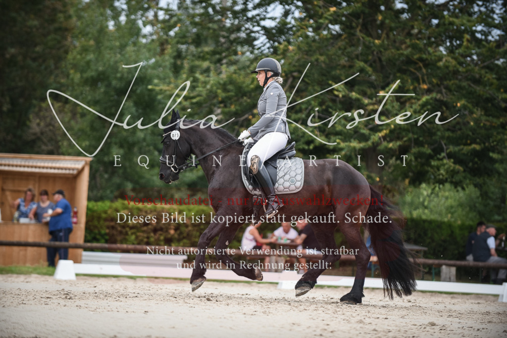 DSC_8316 | Pferde- und Turnierfotografie in Westsachsen. Pferdeportraits, Auftragszeichnungen und intuitive Kunst.