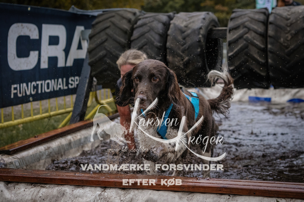 1706_ZZ94937 | kk-dogfotos