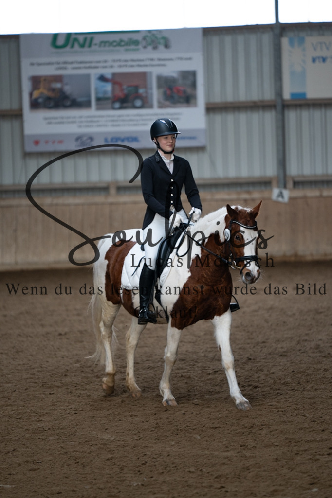 A7V04876 | Pferdefotograf