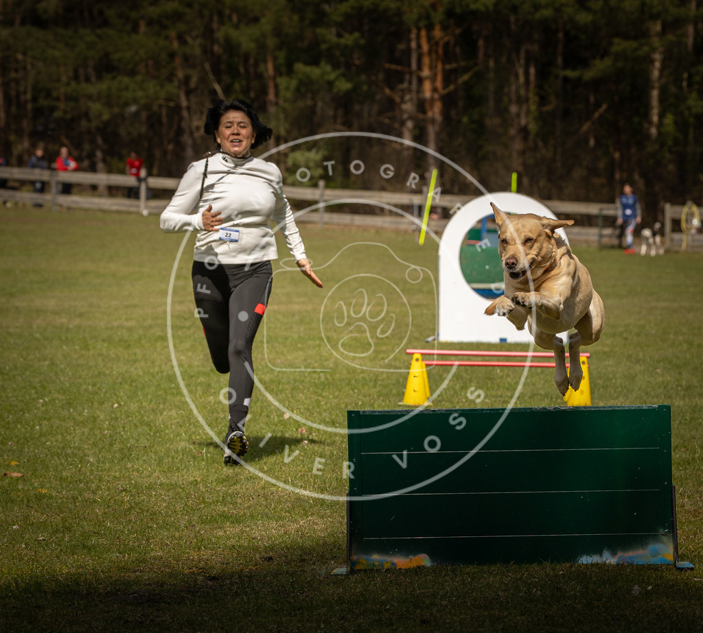 Pfotenfotografie_DV3A5369 | Hundefotografie, Tierfotograf, Pfotenfotografie, Fotoshooting Hund, Hunde Portrait, Hundesport, Hundeportraits, Heideshooting, Hunde, Sportfotograf, Hundefotograf, Turnierhundsport, THS,  - Realisiert mit Pictrs.com