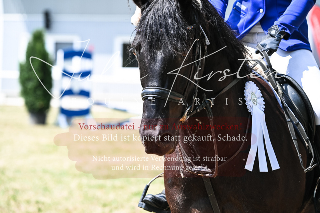 DSC_9523 | Pferde- und Turnierfotografie in Westsachsen. Pferdeportraits, Auftragszeichnungen und intuitive Kunst.