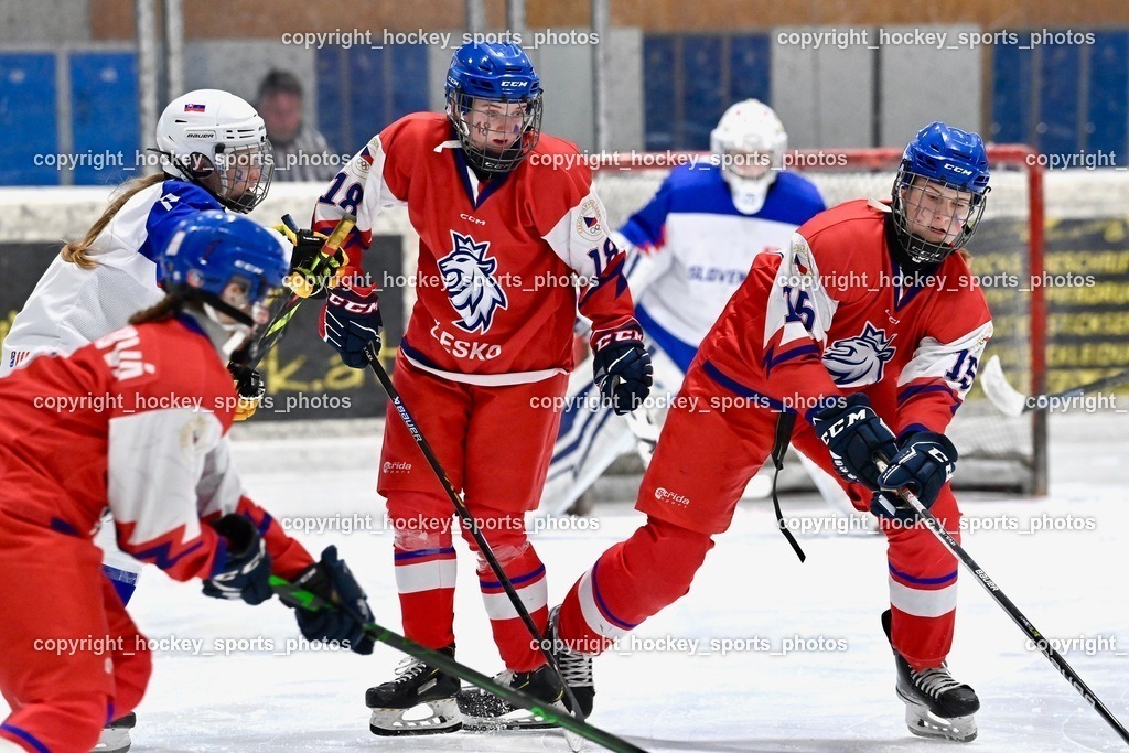 BST_5583 | hockey sports photos, Pressefotos, Sportfotos, hockey247, win 2day icehockeyleague, Handball Austria, Floorball Austria, ÖVV, Kärntner Eishockeyverband, KEHV, KFV, Kärntner Fussballverband, Österreichischer Volleyballverband, Alps Hockey League, ÖFB, 