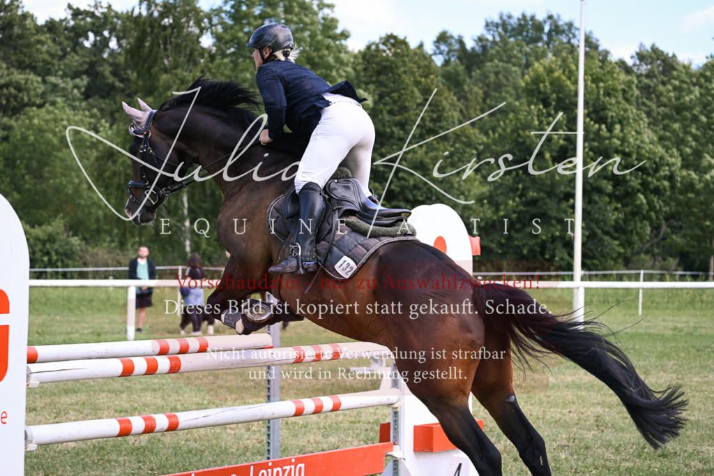 DSC_0558 | Pferde- und Turnierfotografie in Westsachsen. Pferdeportraits, Auftragszeichnungen und intuitive Kunst.