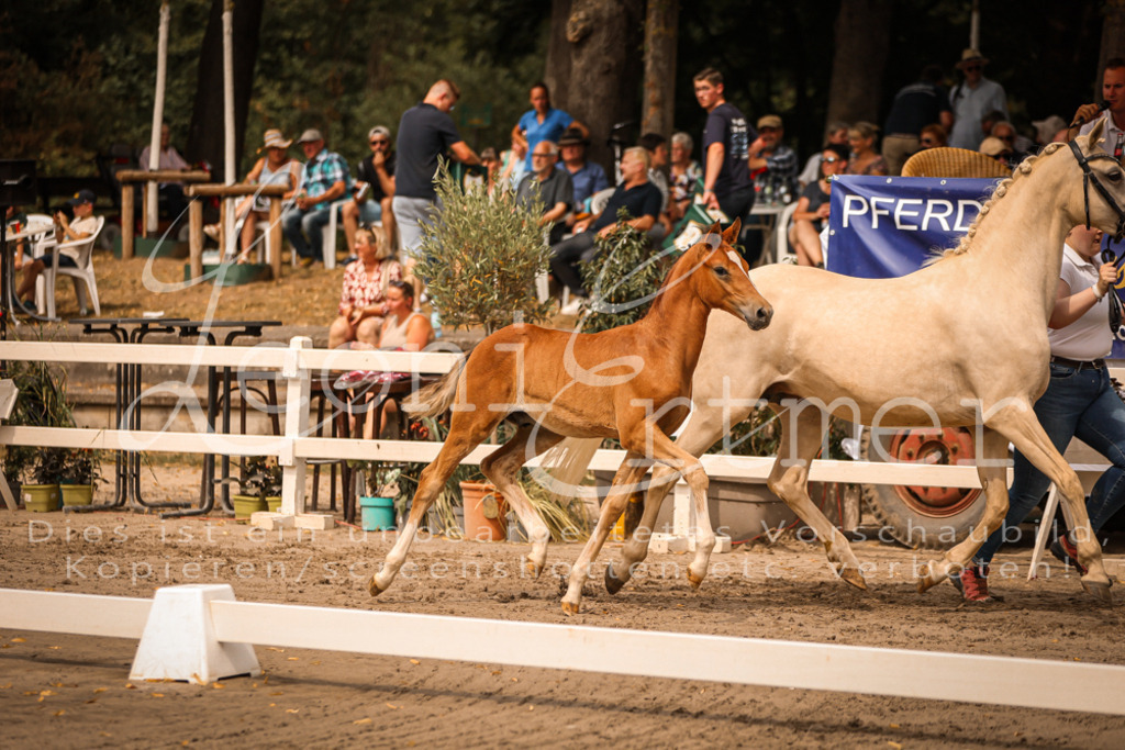 SaPA00084 | Leoni Ertmer Photography - Realisiert mit Pictrs.com