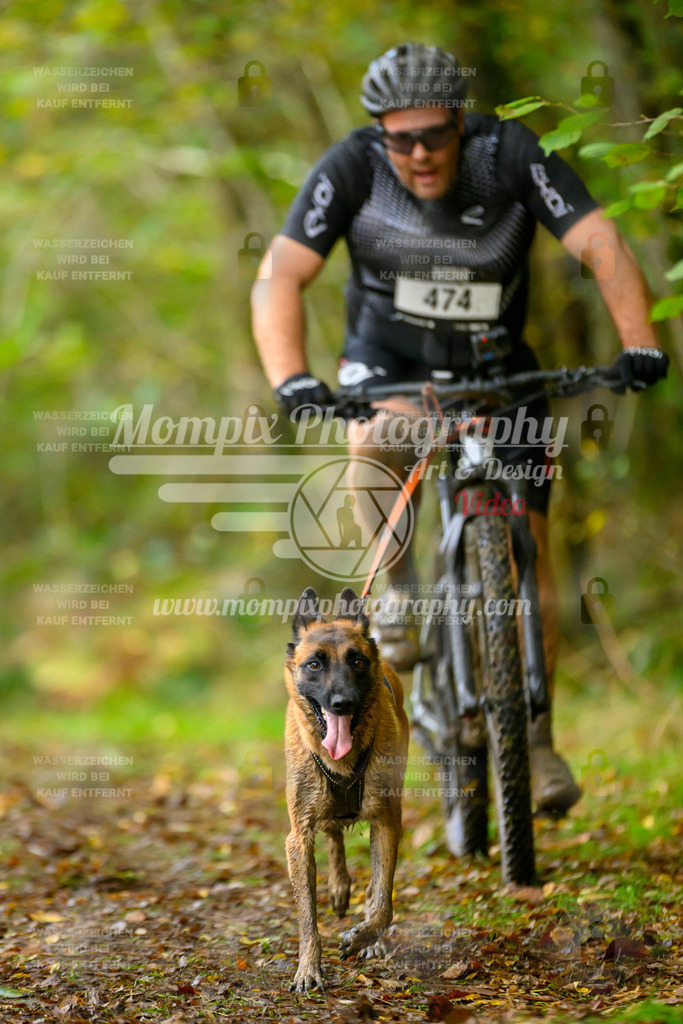 MompixPhotography_20TSB_E1_Bike-38 | PayLife