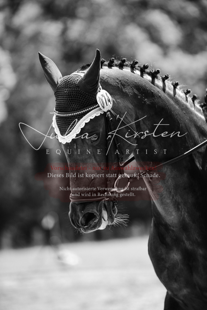 DSC_1508 | Pferde- und Turnierfotografie in Westsachsen. Pferdeportraits, Auftragszeichnungen und intuitive Kunst.