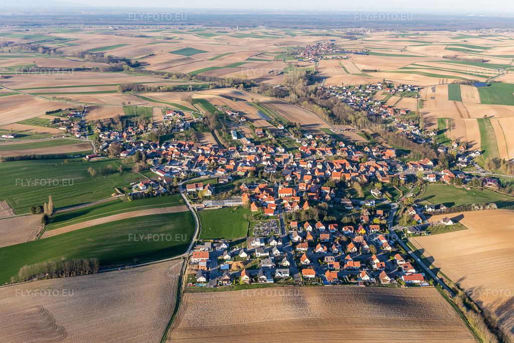 Vue aérienne: Champs agricoles et terres arables à Trimbach dans le département Bas Rhin, France – .Photo: IMG_097827.jpg prise le 27/03/2017 par Werner Riehm/FLY-FOTO.eu – Résolution de l'original: 5010 x 3340 px