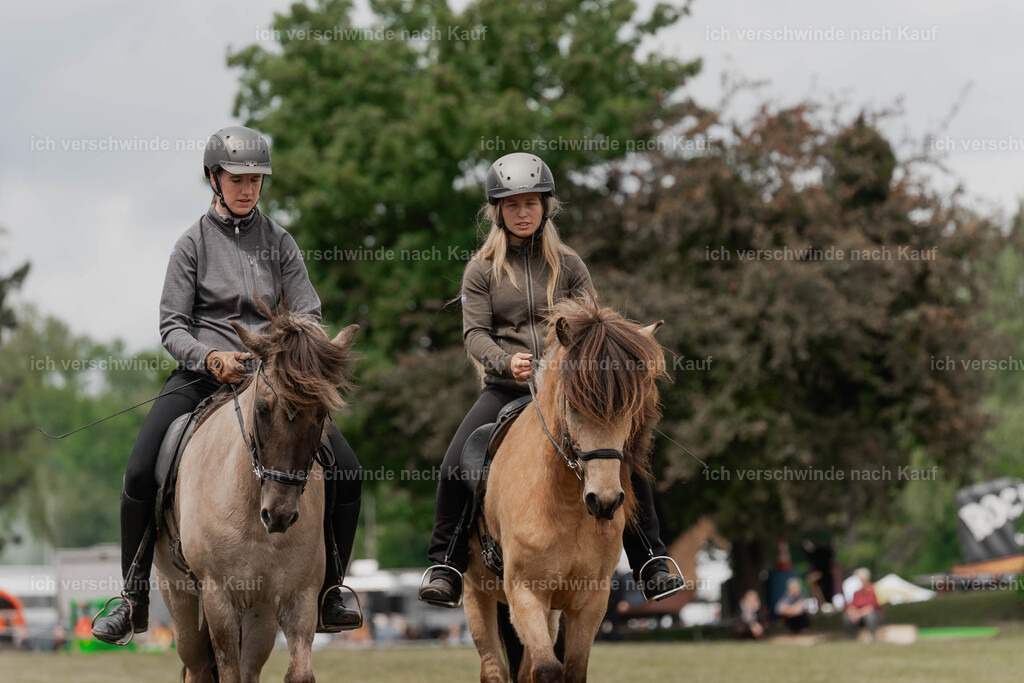 Showprogramm-193 | working equitationturnier fotograf videograf stoibphotography marixx film working equitation deutschland reitsport turnierfotografie eventfotografie equestrian events