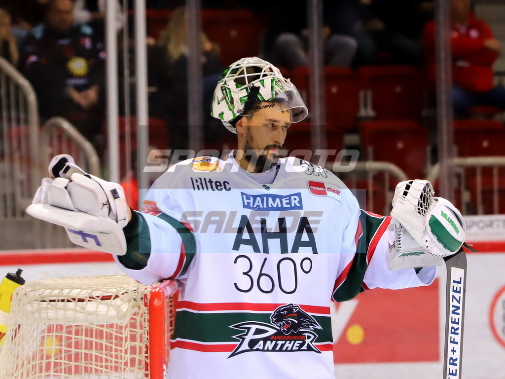 Dennis Endras - AEV | Dennis Endras - AEV - Realisiert mit Pictrs.com