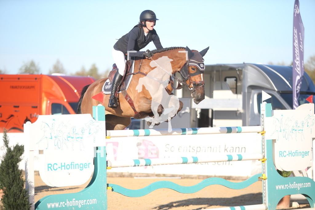 PP016071 | Willkommen bei Brunnmayr - Design & Fotografie – Ihrem Spezialisten für Reitturniere und Pferdeveranstaltungen in Oberösterreich, Salzburg und Bayern! Seit über 17 Jahren sind wir leidenschaftlich dabei.