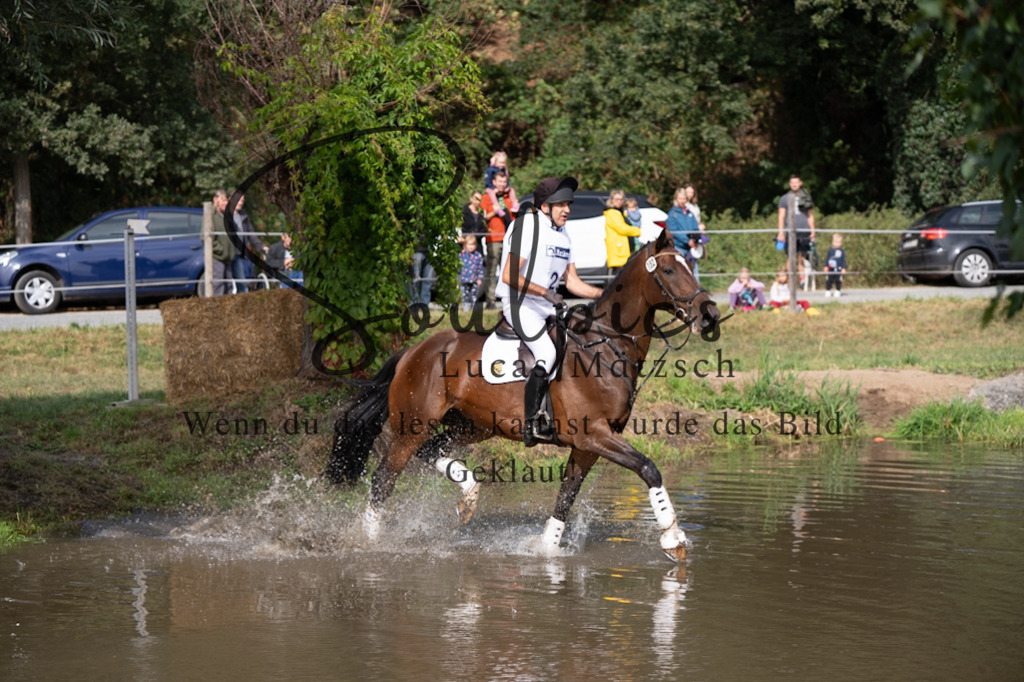 A7V00826 | Pferdefotograf