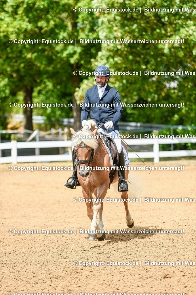 20230716_01_Dressurprüfung Kl.M_0150 | equistock