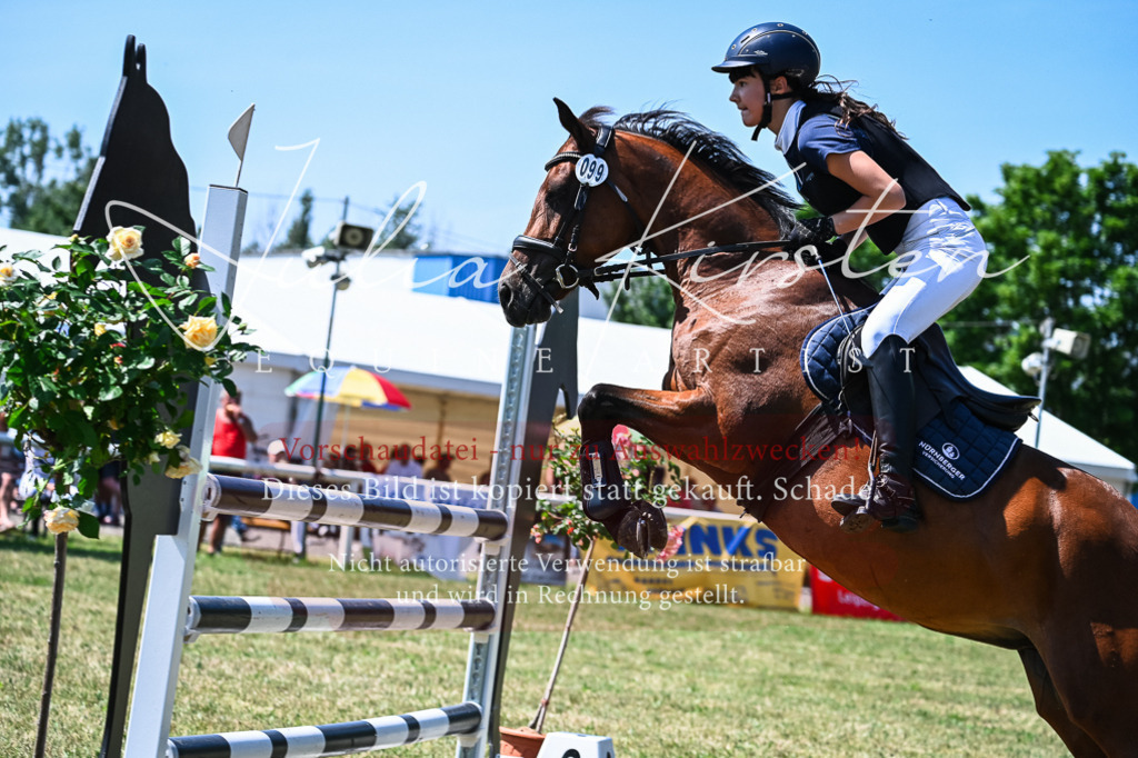 DSC_0922 | Pferde- und Turnierfotografie in Westsachsen. Pferdeportraits, Auftragszeichnungen und intuitive Kunst.