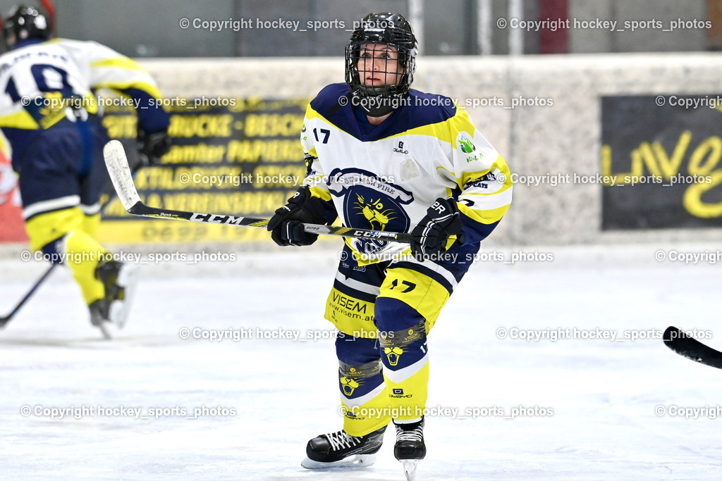 Wildcats Paternion vs. Lady Hawks  | #17 Kleindienst-Anton Anita Wildcats Paternion, Wildcats Paternion vs. Lady Hawks , Wildcats Paternion vs. Lady Hawks  am 27.01.2025 in Spittal an der Drau (Eissportzentrum Spittal), Austria, (Photo by Bernd Stefan)