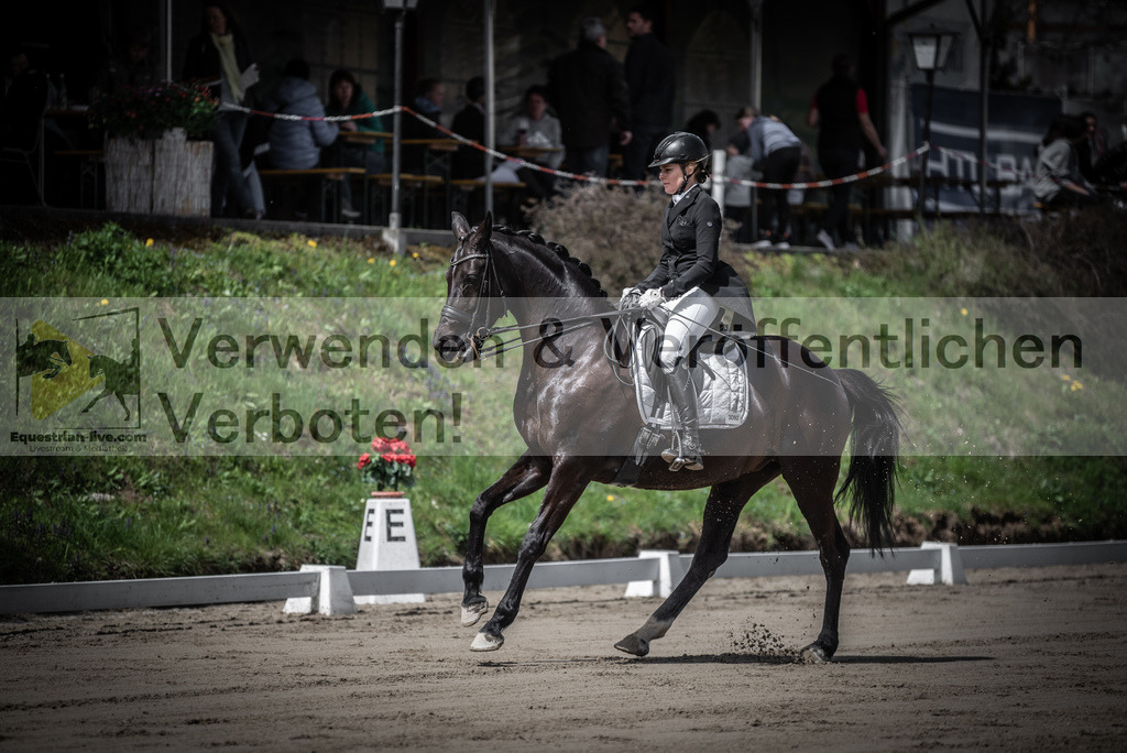 DSC_1730 | equestrian-live-com