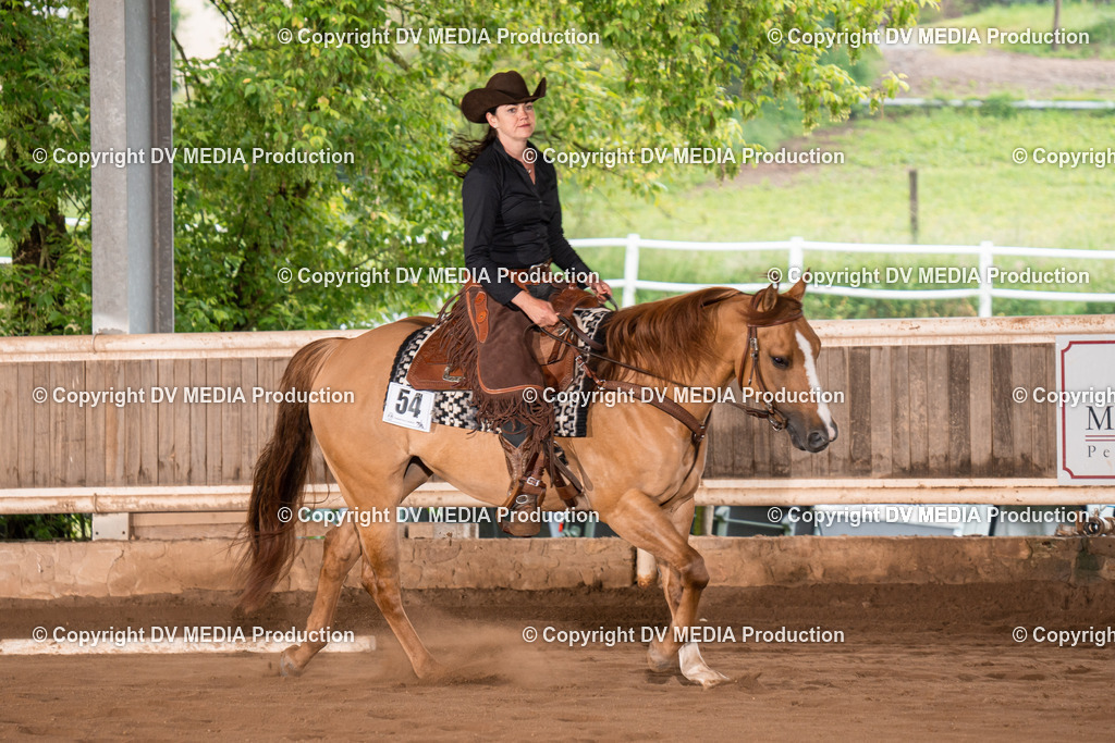 Erbach Tag 2-336 | dv-media-shop - Realisiert mit Pictrs.com