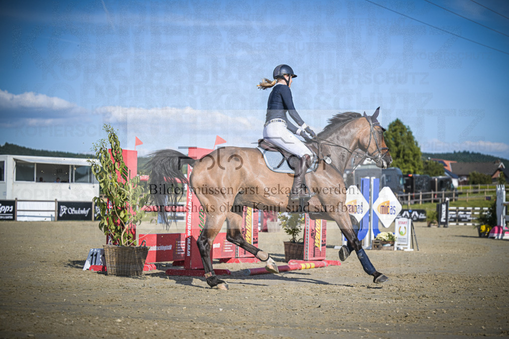 DOS_1546 | Entdecke hochwertige Reitturnierfotos von Foto Oger. Professionell, emotional und authentisch – jetzt Lieblingsmomente im Shop bestellen.Deutschlandweite Turnierfotografie. - Realisiert mit Pictrs.com