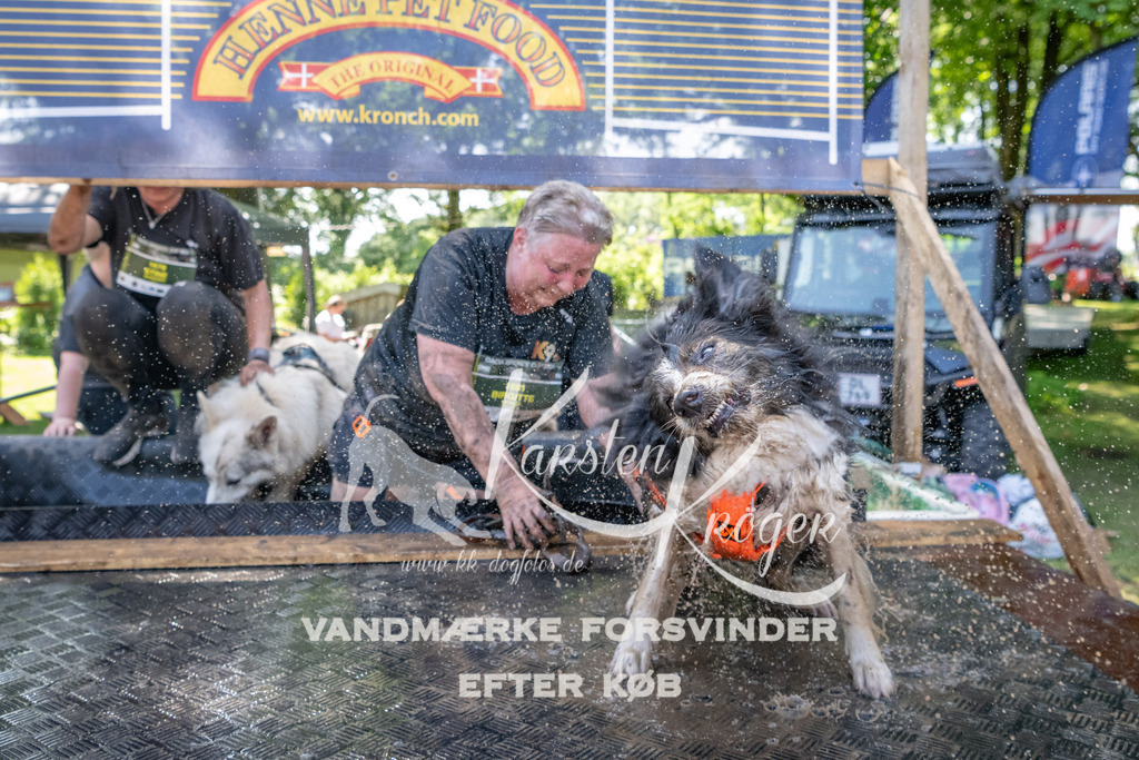 1426_ZZ94154 | kk-dogfotos