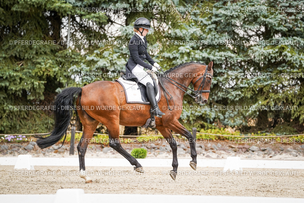 DSC05604 | Pferdegrafie