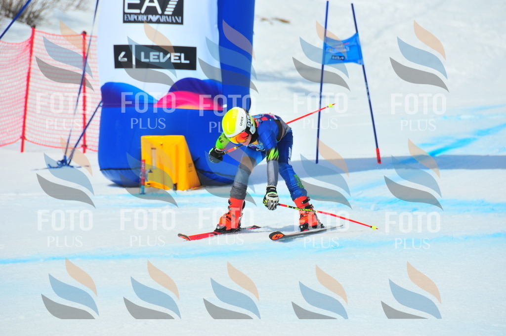 DSC_7072 | holidayphoto