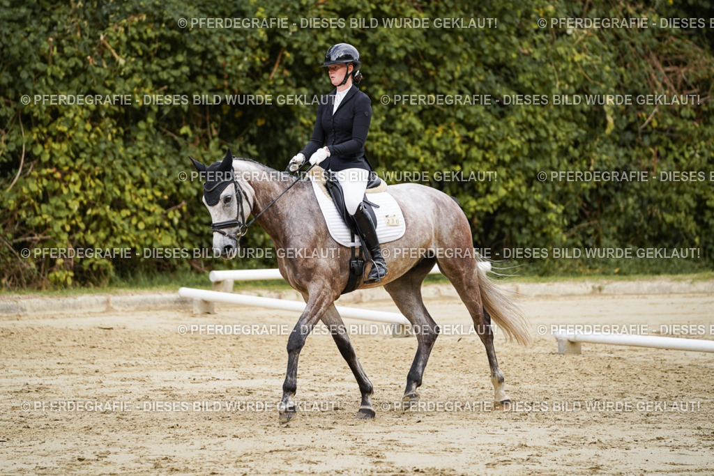 DSC00668 | Pferdegrafie