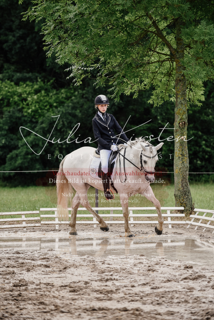 DSC_9416 | Pferde- und Turnierfotografie in Westsachsen. Pferdeportraits, Auftragszeichnungen und intuitive Kunst.