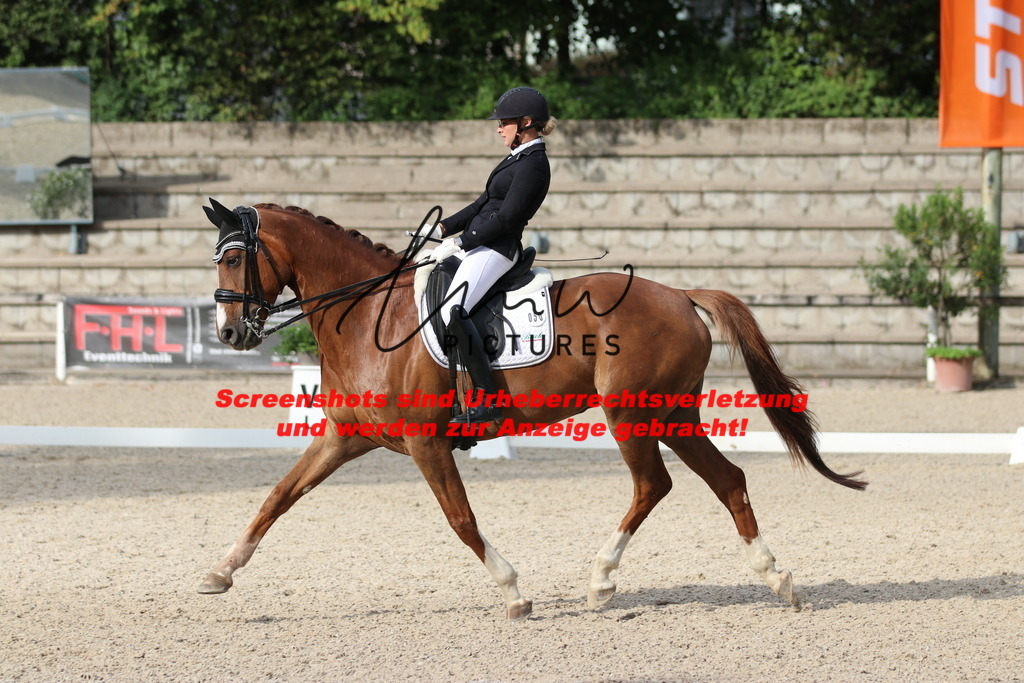 IMG_6289 | lmwpictures - Realisiert mit Pictrs.com