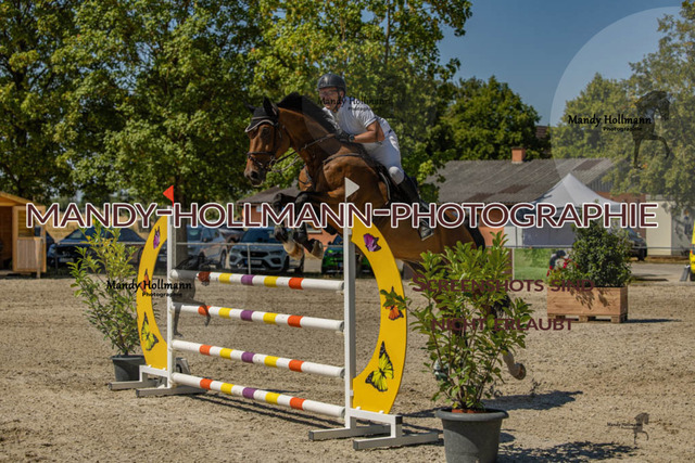 26-7-24 SPF M+-959 | mandyhollmannphotographie