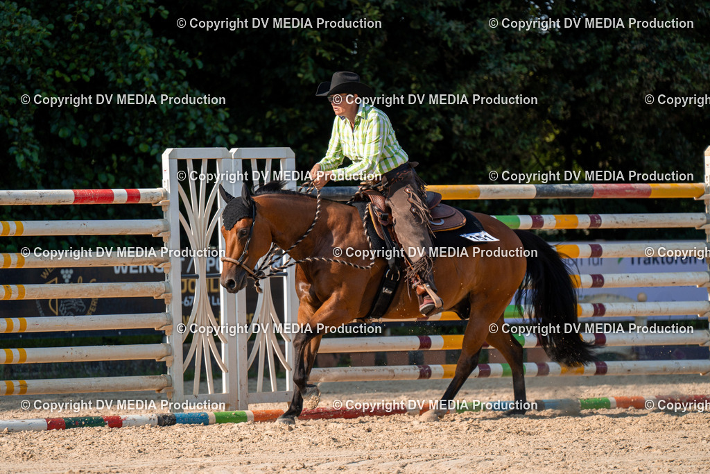 ZH100828 | dv-media-shop - Realisiert mit Pictrs.com